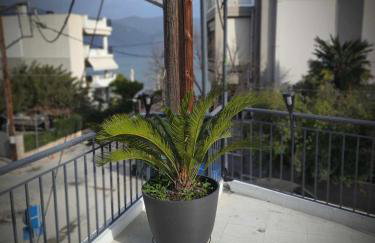 Zefi's House - Photo 7