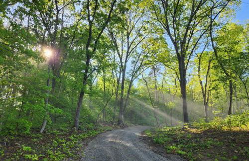 Chasing Views Tiny House - Photo 47