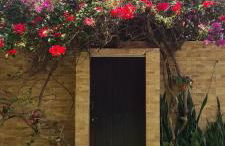 Casa do Bougainvillea Mundaú-Trairi-Ce - Foto 25