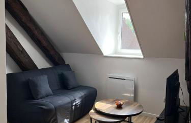 Appartement de la Fontaine à la Tour du Pin hyper centre parking privé - Foto 15