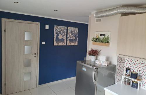 Cztery Kąty Apartament Wągrowiec - Foto 13