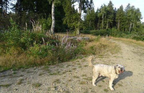 Sammy's FeWo - Foto 38