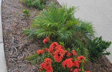 4BR Retreat Near Warm Mineral Springs & Beaches - Foto 50