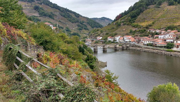 Tour in Monforte de Lemos - Photo 3