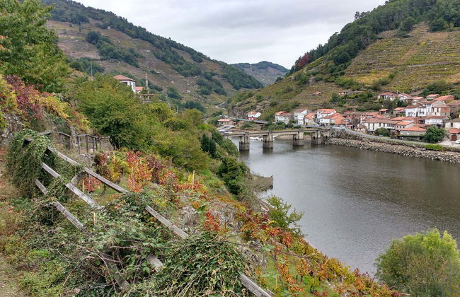 Tour in Monforte de Lemos - Photo 3