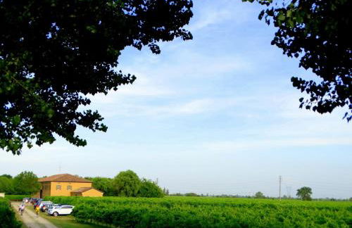 Agriturismo Vitae - Foto 14