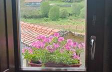 Casa do Xurés - Foto 16