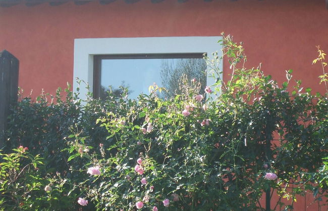 Red House/casa Rossa - Near Civita Di Bagnoregio - Foto 70