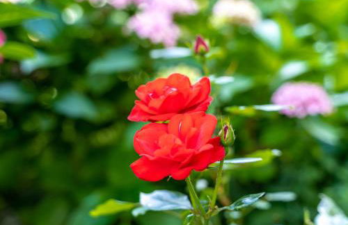 Appartementhof Stadler - Foto 80