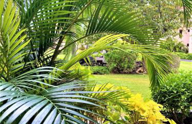Coconut at Shores - Waikoloa Beach Resort - Foto 30