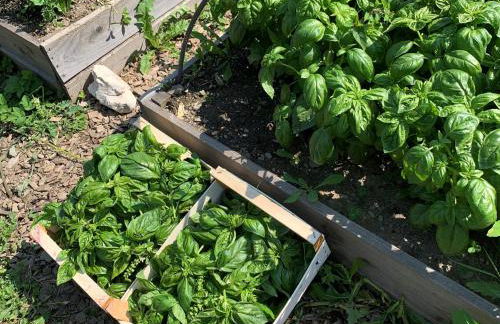 Apparthotel Germania - Foto 25