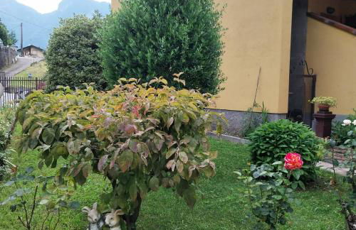 Casa Peppo - Foto 26