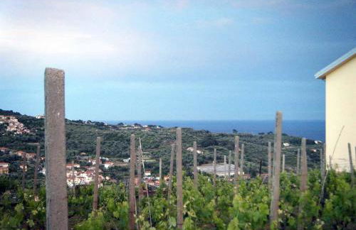 VILLA DIANO CASTELLO - Foto 11