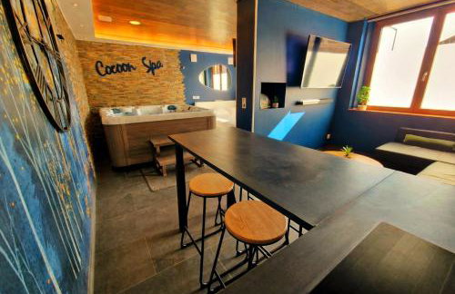 COCOON SPA-4 Pers-Jacuzzi-Parking-Jardin-Clim-Colmar - Foto 6