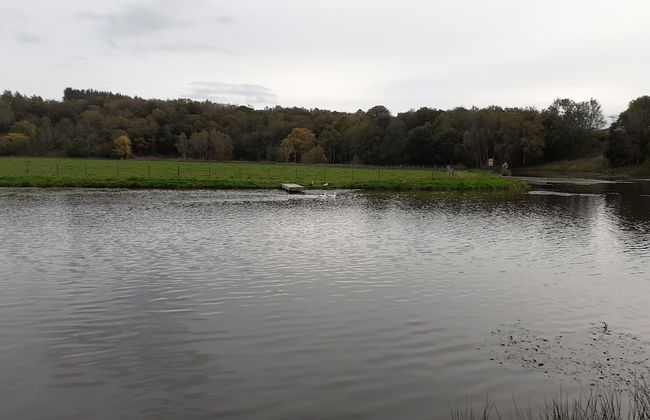 Cosy 2-bed Cottage With Garden Near Carlisle - Foto 15