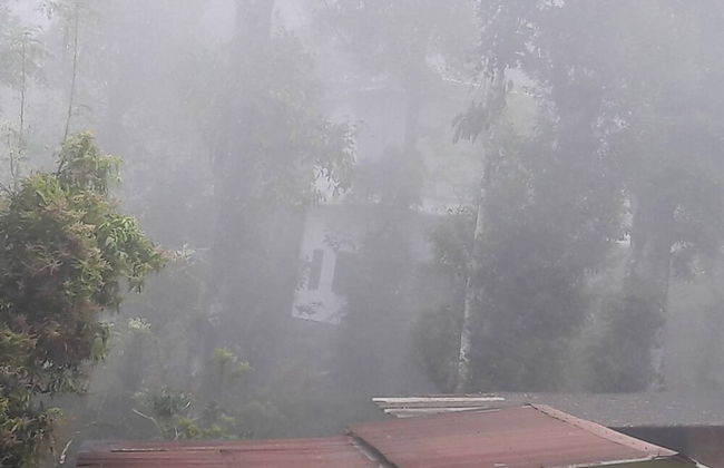 Room-wayanad Stay the Pepper Suite - Foto 19