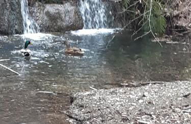 Country Residence Turicchi - Foto 51