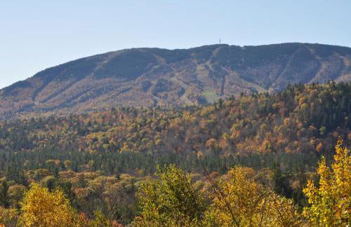 SUNDAY RIVER VIEWS!! Minutes from the mountain! - Foto 32