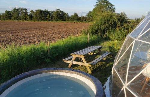 Dome One with Hot Tub, Lincoln, Projector, Firepit - Foto 1