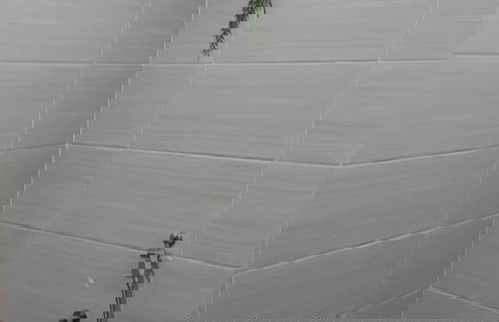 OYO Home 90711 Roses Villa - Foto 10