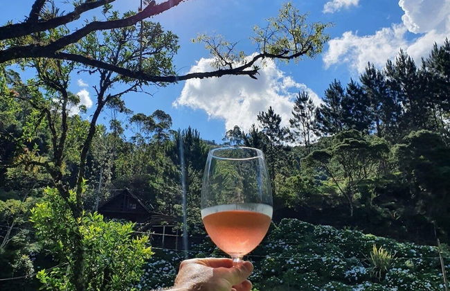 Recanto das Águas - Anitápolis - SC - Photo 75