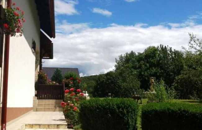 Dalija - Beautiful Nature and View - SA2 - Foto 30