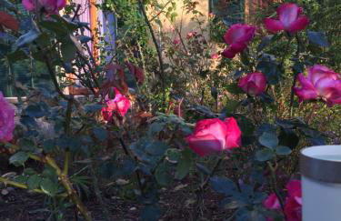 Agriturismo Mele - Foto 36