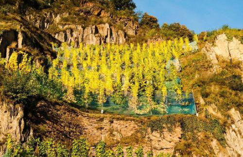 Apartment Perle-Lollipop by Interhome - Foto 27