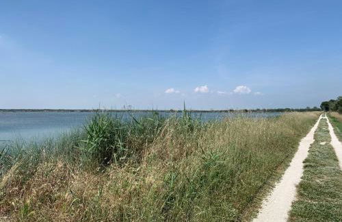 Apartment Casa delle Palme by Interhome - Photo 72