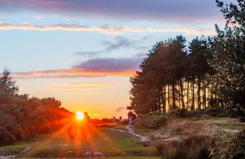 The Rosemont - Foto 46