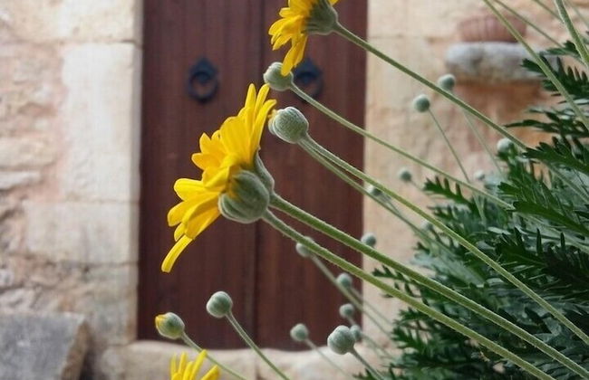 Bendeni Cottage - Foto 18