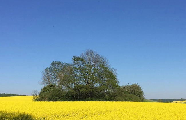 Ferienwohnungen Blaues Haus, Putbus - Foto 35