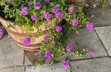 Cajun-Get Away - Foto 16