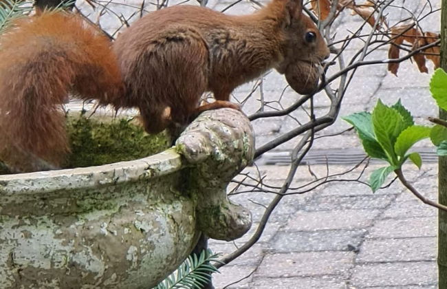 Atelier House With hot tub - Photo 19