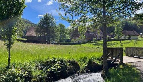 Ferienwohnung-Blume DG - Foto 4