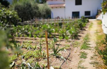 Agriturismo Guthiddai - Foto 34