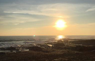 White Willows - Photo 21