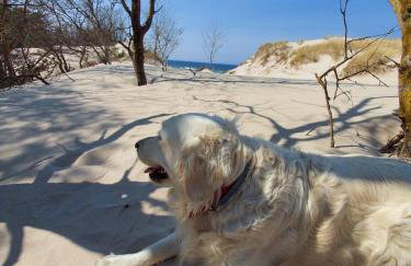 Apartamenty nad morzem Przy klifie 3 Dębina - Foto 59