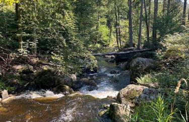 Haus Johanna 2 - Foto 16