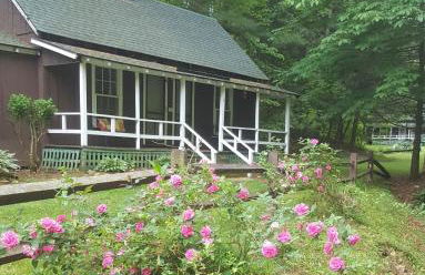 The Cabins at Healing Springs - Foto 117