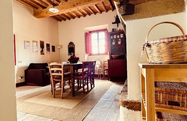 Fattoria Podere i Luoghi - Foto 41