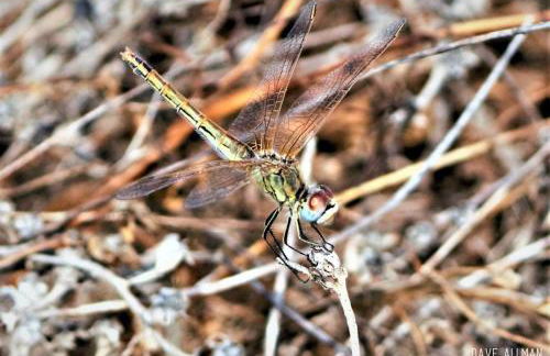 CozyHome - Cabanas - Photo 69