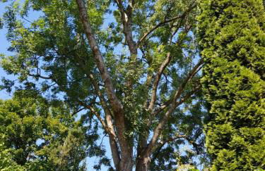 Memorie1 Lust auf Zuhause Ferien in der Provinz - Foto 7