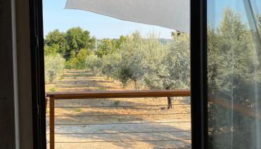 La Casa tra gli Ulivi - Cottage in legno - Foto 2, Garden view