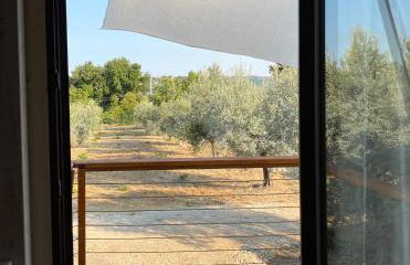 La Casa tra gli Ulivi - Cottage in legno - Foto 2