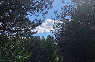 Sosnówka - dom wypoczynkowy na Kurpiach - Foto 42