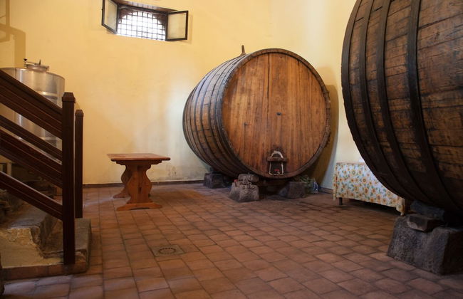 L'Antica Vigna - Photo 22