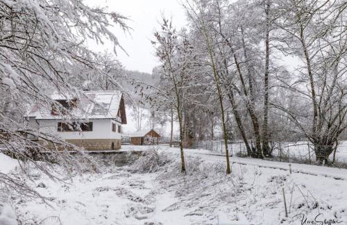 Ferienhaus Chalet an der Brettach - Foto 52