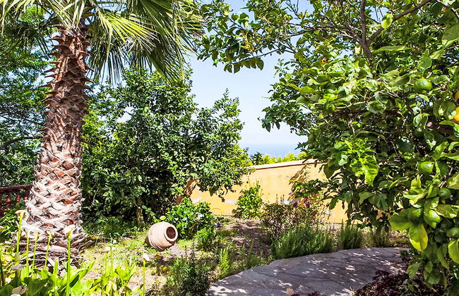 Camino La Candelaria - Photo 14