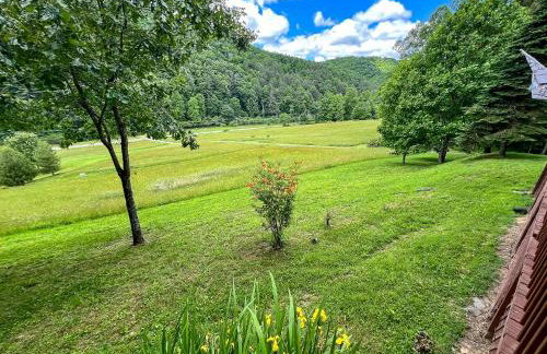 Bear Necessities - Photo 22